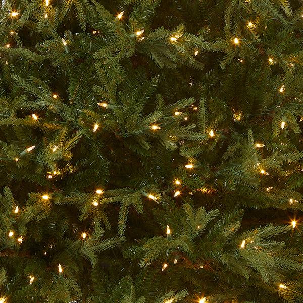 National Tree Company 7.5 Ft. Pre-Lit Fraser Grande Tree With Dual Color LED Lights