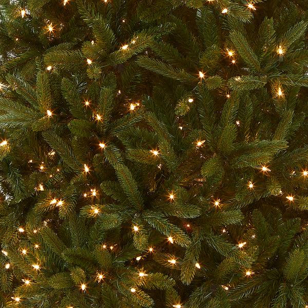 National Tree Company 7.5 Ft. Pre-Lit Grande Fir Medium Tree With Clear Lights