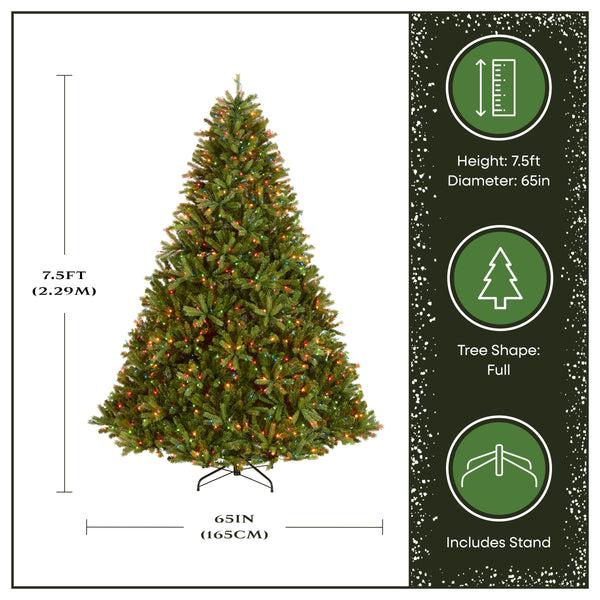 National Tree Company 7.5 Ft. Pre-Lit Jersey Fraser Fir Tree With Multicolor Lights