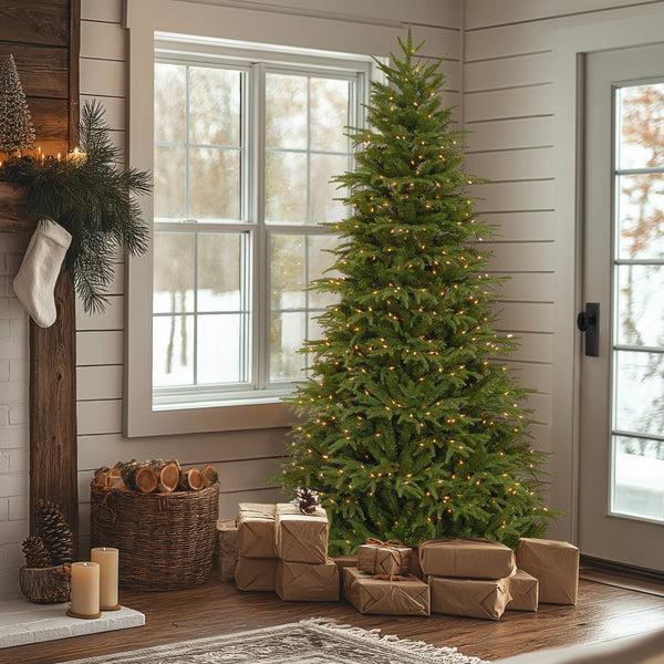 National Tree Company 7.5 Ft. Pre-Lit Northern Fraser Tree With Clear Lights