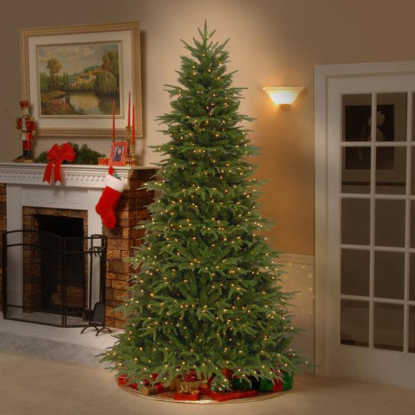 National Tree Company 7.5 Ft. Pre-Lit Northern Fraser Tree With Clear Lights