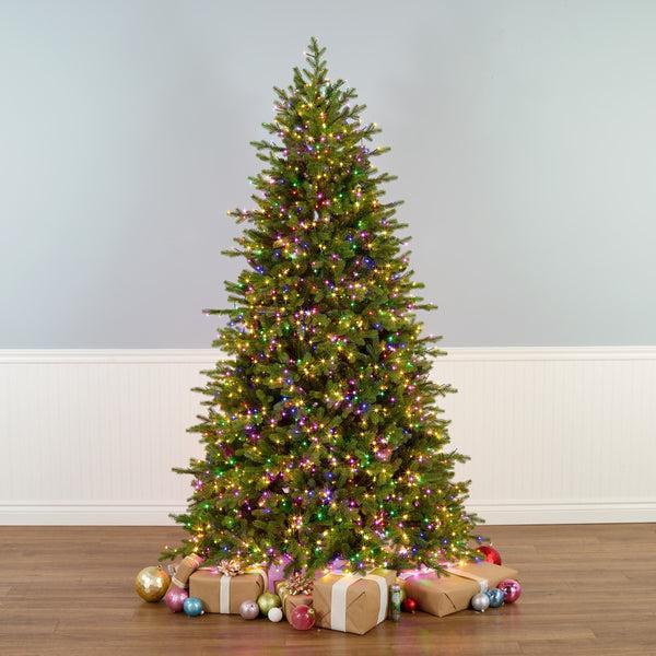 National Tree Company 7.5 Ft. Pre-Lit Princeton Fraser Fir Tree With LED Lights