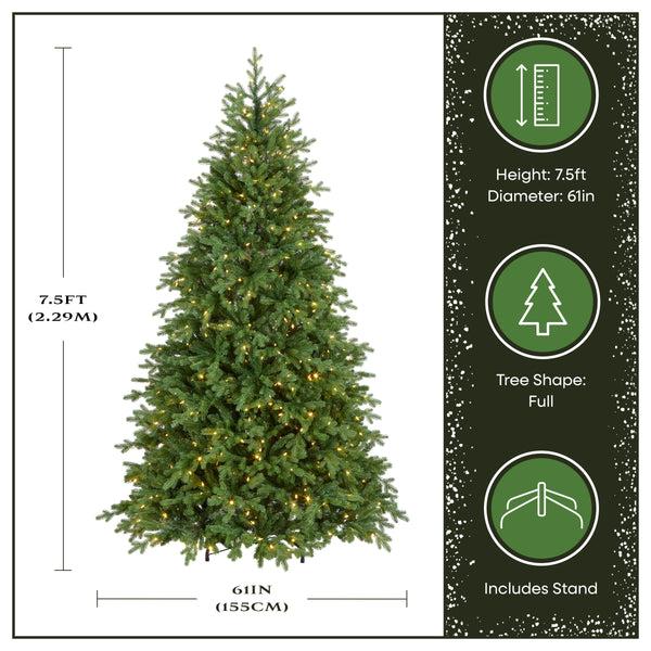 National Tree Company 7.5 Ft. Pre-Lit Princeton Fraser Fir Tree With PowerConnect And 800 Dual Color LED Lights
