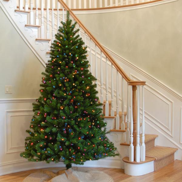 National Tree Company 7 Ft. Pre-Lit North Valley Spruce Tree With Multicolor Lights