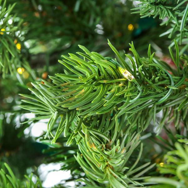 National Tree Company 9 Ft. Pre-Lit Lark Pine Medium Tree With Warm White LED Rice Lights