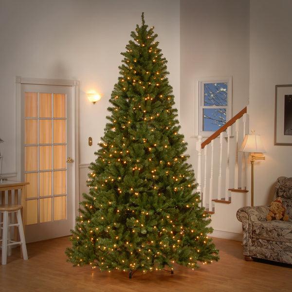 National Tree Company 9 Ft. Pre-Lit North Valley Spruce Tree With Clear Lights