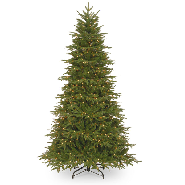 national tree company 9 ft. Pre-Lit Northern Fraser Fir Tree with Clear Lights