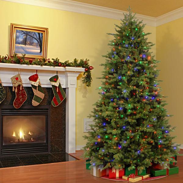 National Tree Company 9 Ft. Pre-Lit Princeton Fraser Fir With PowerConnect Dual Color LED Lights