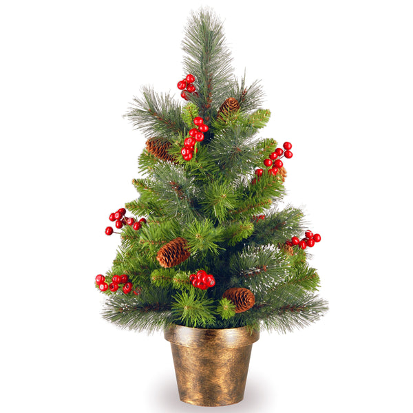 national tree company 2 ft. Crestwood Spruce Tree national tree company 2 ft. Crestwood Spruce Tree