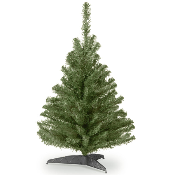 national tree company 3 ft. Kincaid Spruce Tree