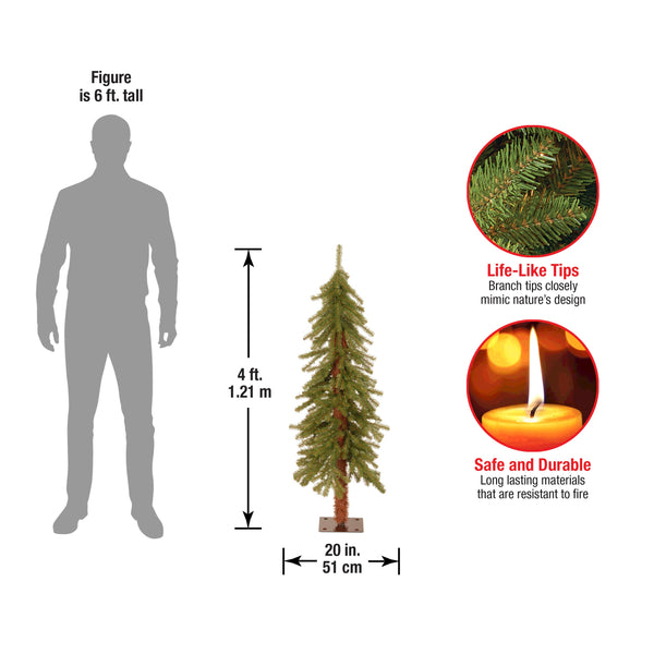 National Tree Company 4 Ft. Hickory Cedar Tree