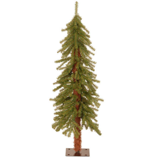 national tree company 4 ft. Hickory Cedar Tree