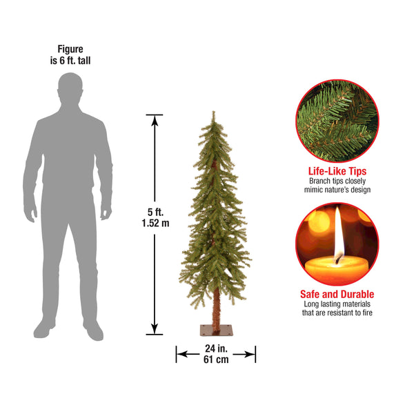 National Tree Company 5 Ft. Hickory Cedar Tree