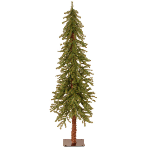 national tree company 5 ft. Hickory Cedar Tree