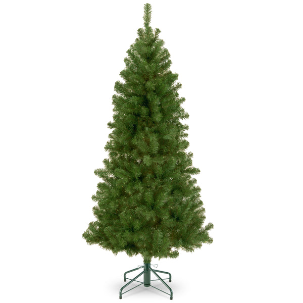 national tree company 7.5 ft. Canadian Fir Tree national tree company 7.5 ft. Canadian Fir Tree