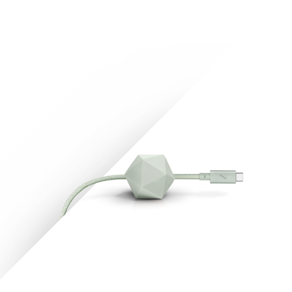 Native Union Desk Cable (USB-C To USB-C)