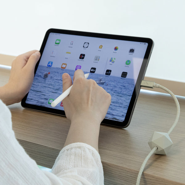 Native Union Desk Cable (USB-C To USB-C)
