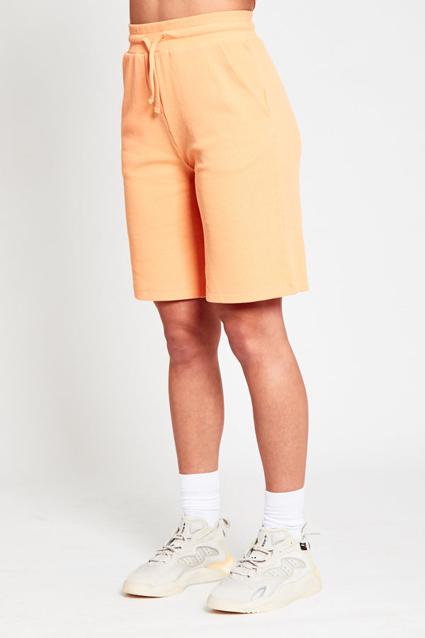 Native Youth BRIELLE SHORTS