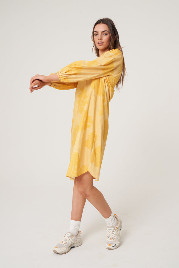 Native Youth FENE DRESS