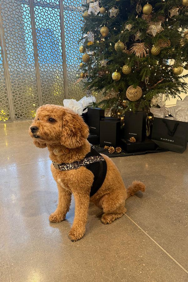 Natori Luxe Leopard Dog Harness Chestnut