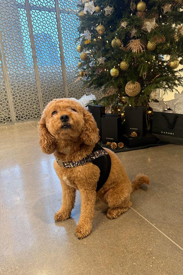 Natori Luxe Leopard Dog Harness Chestnut