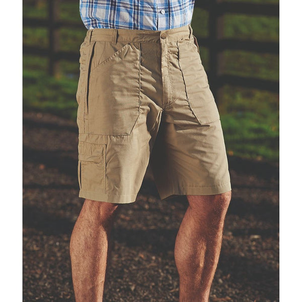 nauticalia Bretton Shorts