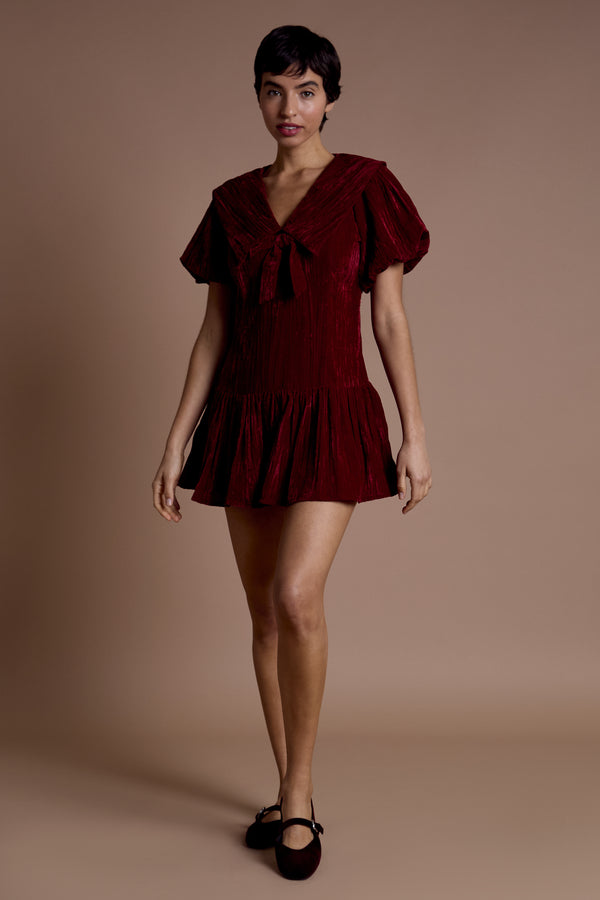Neon Rose Sabrina Velvet Mini Dress