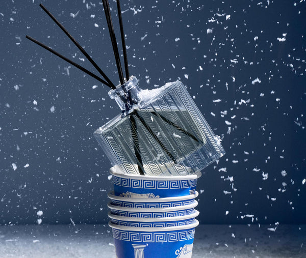 Nest Fragrances Blue Cypress & Snow Reed Diffuser | The Official Home Of NEST NEW YORK