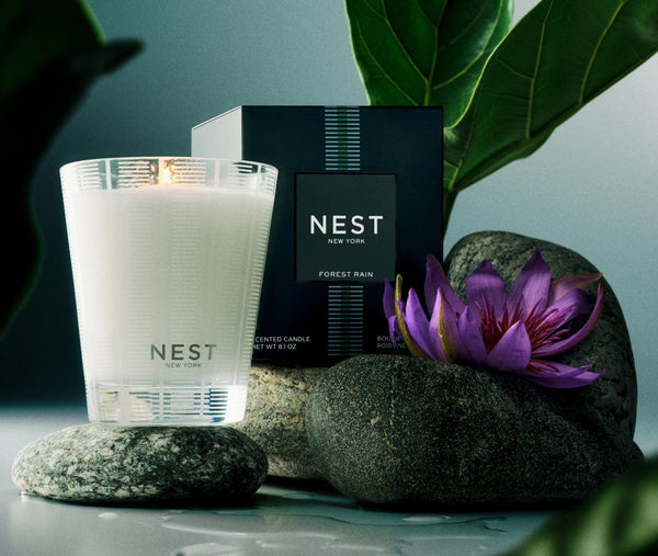 Nest Fragrances Forest Rain Classic Candle | The Official Home Of NEST NEW YORK