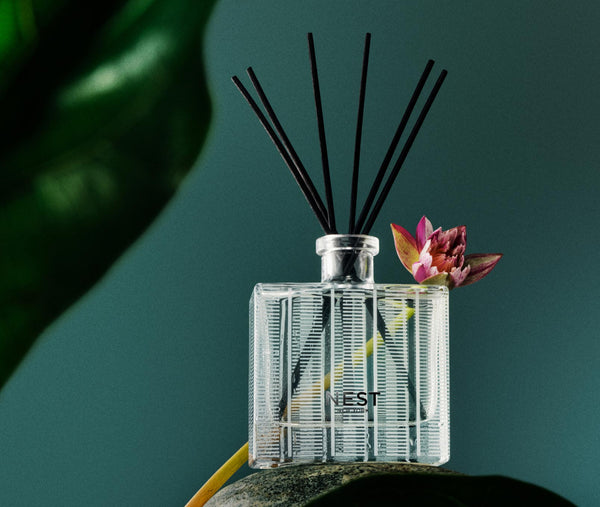 Nest Fragrances Forest Rain Reed Diffuser | The Official House Of The Official Home Of NEST NEW YORK