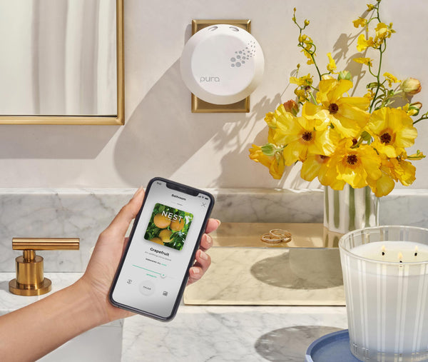 Nest Fragrances Grapefruit Refill Single For Pura Smart Home Fragrance Diffuser | The Official Home Of NEST NEW YORK