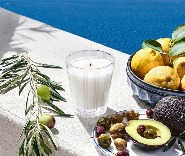 Nest Fragrances Santorini Olive & Citron Classic Candle | The Official Home Of NEST NEW YORK