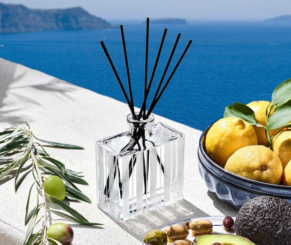 Nest Fragrances Santorini Olive & Citron Reed Diffuser | The Official Home Of NEST NEW YORK