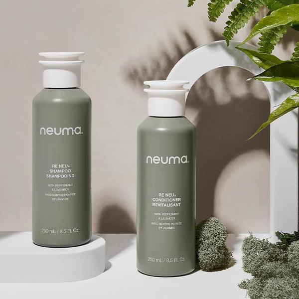 neuma Re Neu Duo – Neuma Research