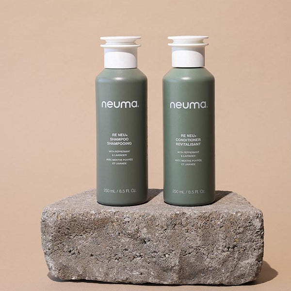 Neuma Re Neu Duo – Neuma Research