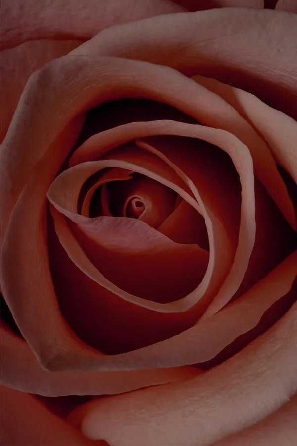 Never Fully Dressed NFD Eau De Parfum Candle 001