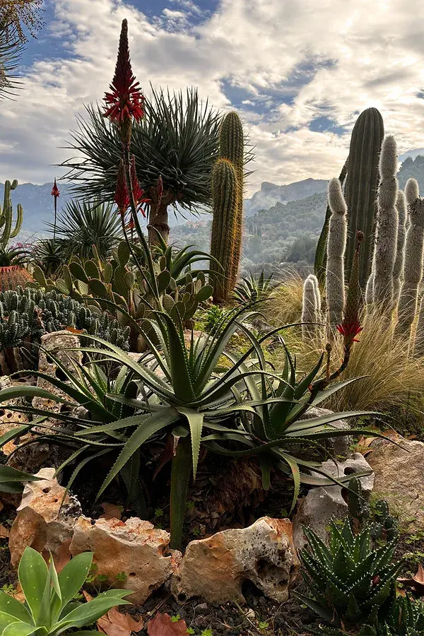 Never Fully Dressed Spicy Margarita T-Shirt