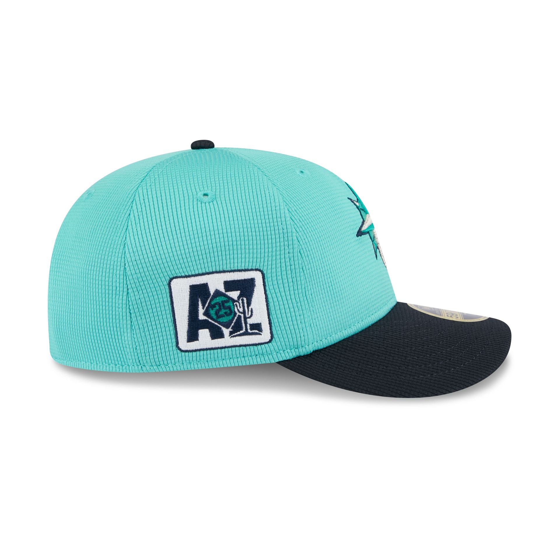 New Era 2025 Spring Training Low Profile 59FIFTY Fitted