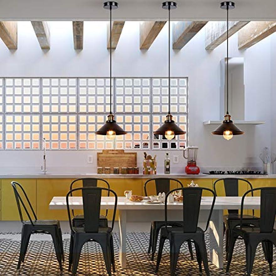 Newrays Newrays 3 Pack Industrial Black Pendant Light