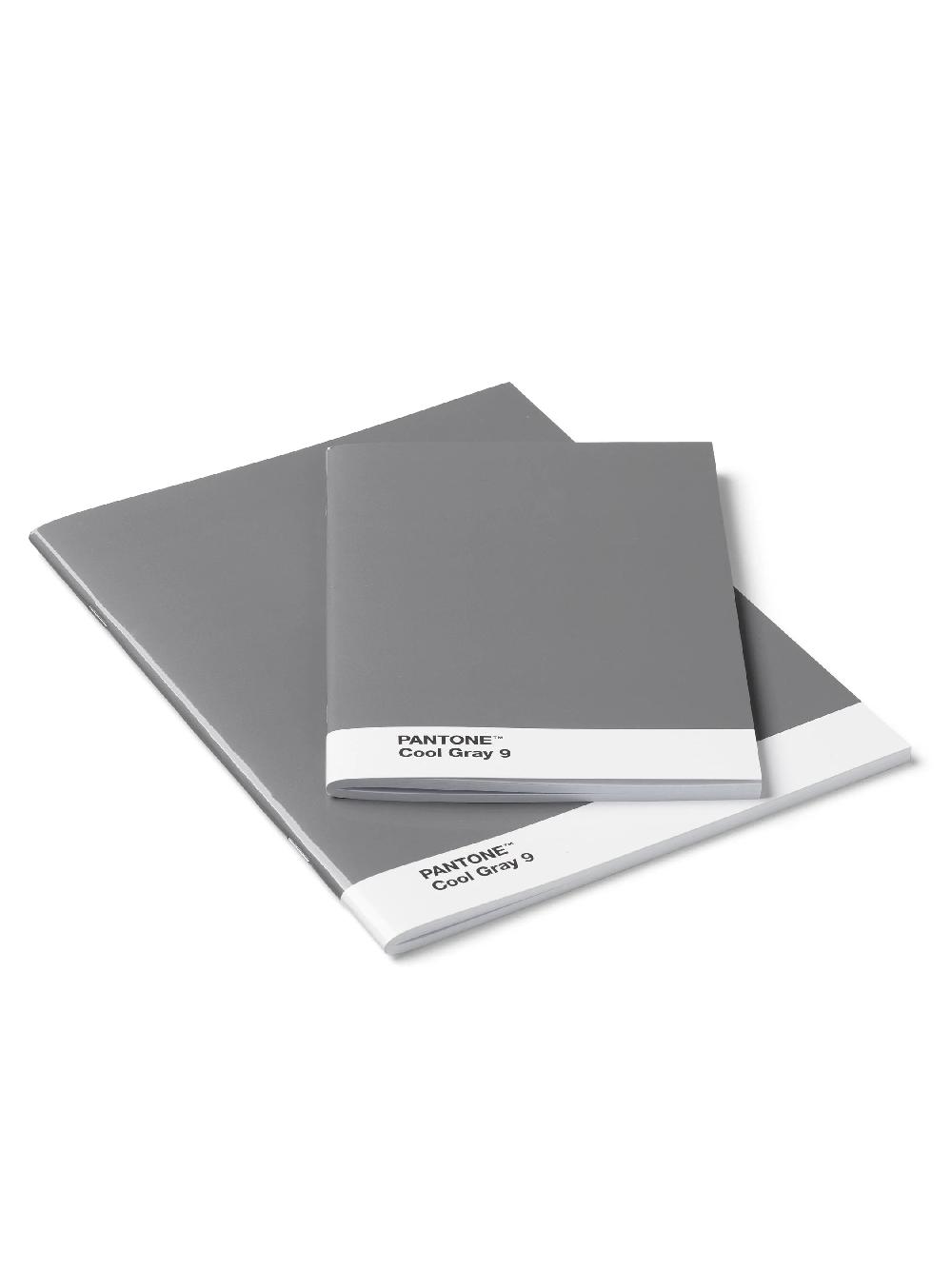 Nic Zoe Pantone 2 Pack Notebooks