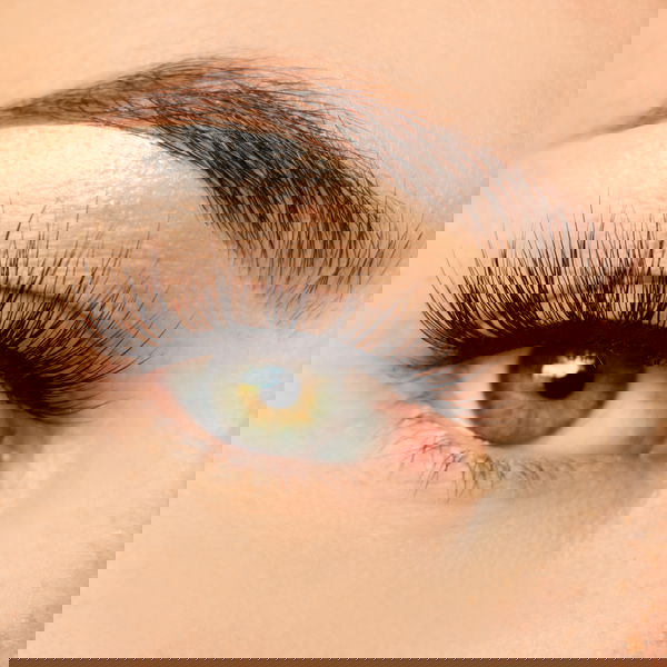 Niclay Dramatic | Wimpernkranz | 3D