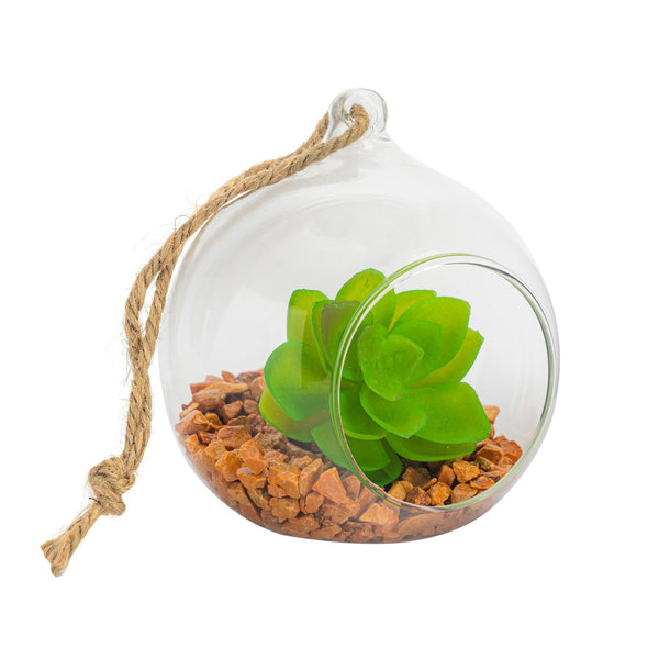 nicola spring 10cm Hanging Glass Succulent Terrarium