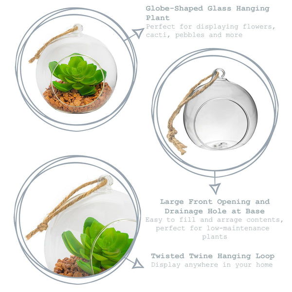 Nicola Spring 12cm Hanging Glass Succulent Terrarium