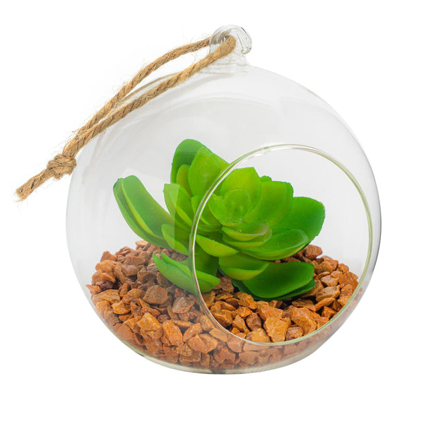 nicola spring 12cm Hanging Glass Succulent Terrarium