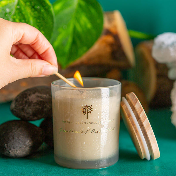 Nicola Spring 130g Green Pomelo & Passion Fruit Soy Wax Scented Candle