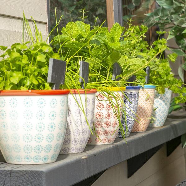 Nicola Spring 14cm Hand Printed Stoneware Plant Pot