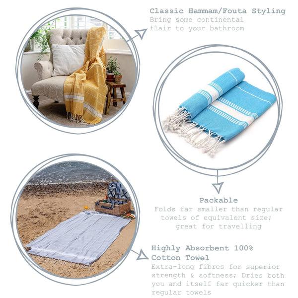 Nicola Spring 170cm X 90cm Turkish Cotton Pinstripe Bath Towel