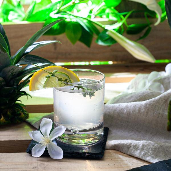 Nicola Spring 195ml Barglass Tumbler Glasses - Pack Of Six