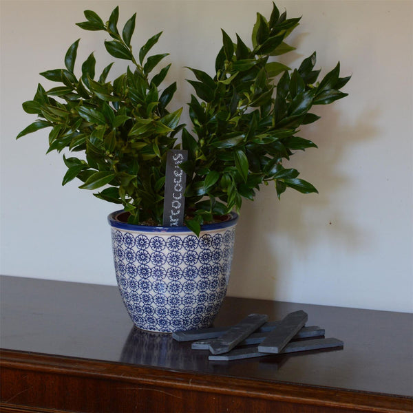 Nicola Spring 2cm X 15.5cm Slate Plant Markers - Pack Of Six