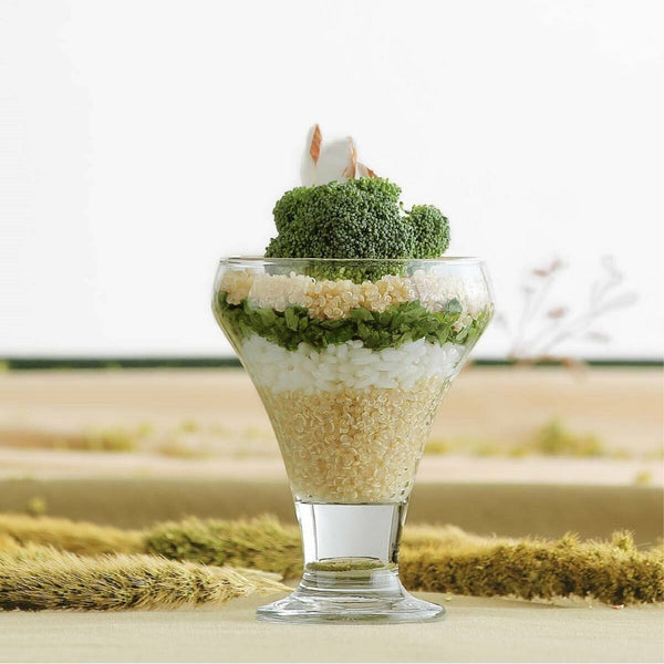 Nicola Spring 305ml Clear Frosty Glass Ice Cream Bowls - Pack Of Six